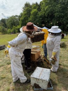 Students assess nectar stores and hive density in preparation for overwintering.