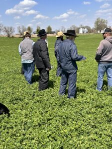 Discussion of pasture