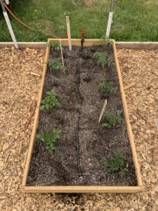 Raised Bed Set up