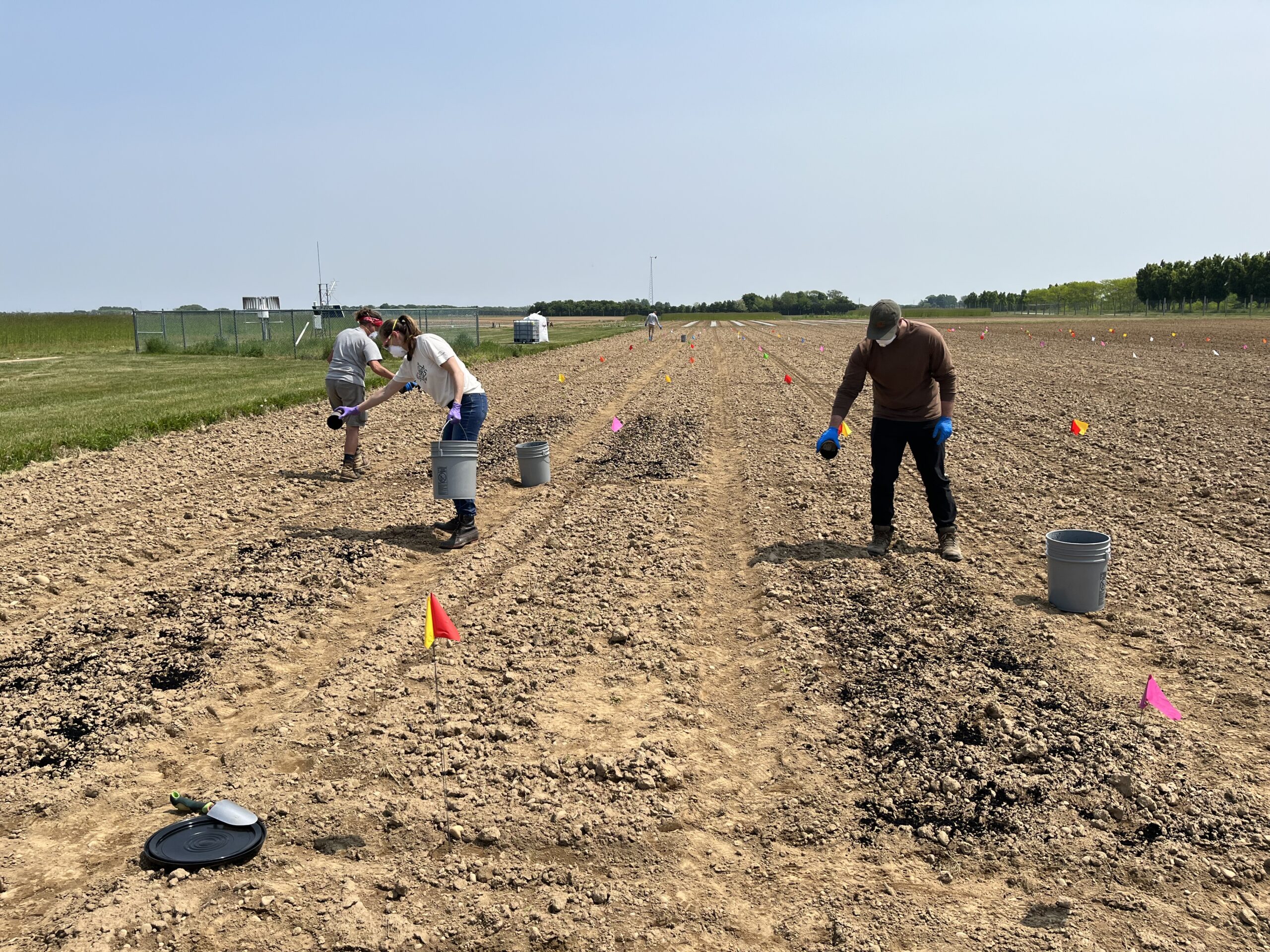 Biochar is applied to NY field plots