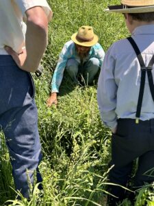 Pasture diversity discussion
