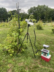 A LICOR 6800 head clamped onto a transgenic American chestnut leaf, out in the field. The machine's tripod is in frame, as well as the console from which the machine's settings can be controlled and data can be read. The console sits on a cooler, in which gathered leaves are stored.