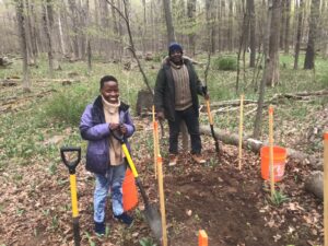 Ramp crew members staking out new trial planting beds