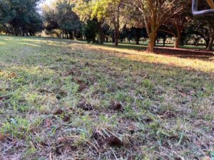 aeration