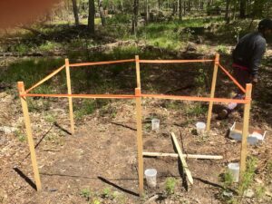 Staked planting bed for ramp sustainability trials.