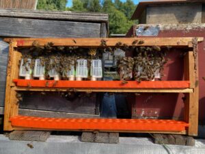 Adapted banking frames using JZBZ equipment.