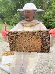 Fenton sample brood frame