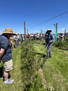 Participants in the 2024 field day at Blue Fruit Farm, Winona, Minnesota.