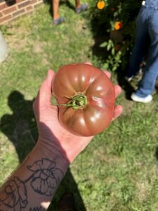 harvest image 7