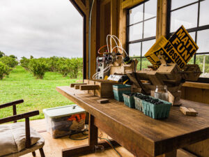 Blueberry Sorter with Blueberry bush