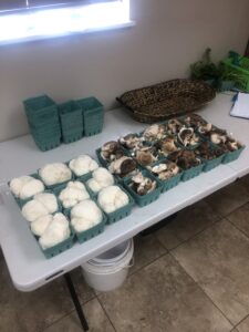 Lion's mane and shiitakes at the produce stand
