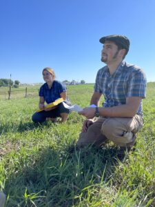 Long-term monitoring 2