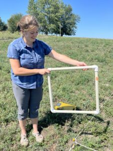 Long-term monitoring 3