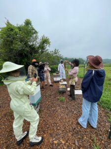 Students listen on as an instructor demonstrates how to assess queen health for Fall & Winter. 