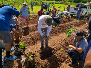 Agroforestry Design field day