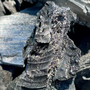 Biochar close-up
