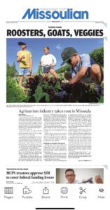 article