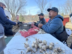 Planting Garlic Together