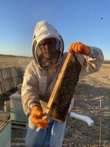 Allen Stovall show a frame of honeybees to his students