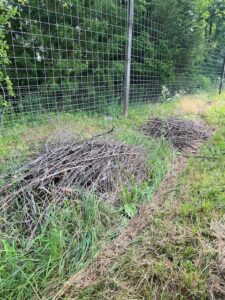 piles of sticks next to a fence