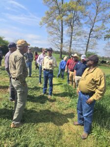 Participants interacting in the field demonstration