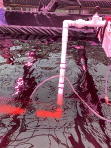 Rectangular Metal Frame Tank, Testing Water Entry