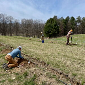 Planting