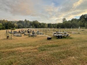 Collection of outdoor overwintered hives in Fall 2024.