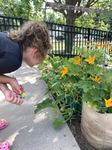 Bug Hunt!