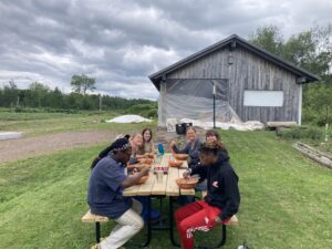 Farm picnic lunch