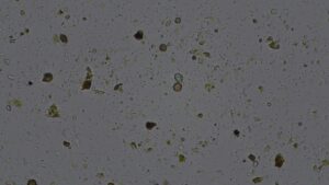 compost analysis imagery LFF5