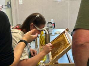 queen rearing workshop of 2024