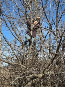 Jamie Cutting Scion Wood