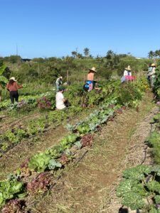 Crop Maintenance workshop