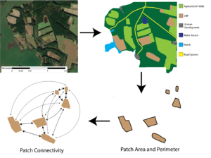 Conceptual diagram for landscape metrics.