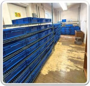 Larvae rearing room