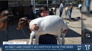 Inner-city participants of the new Urban Livestock program were interviewed for Fox News.