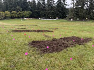 Tilling at Lum Farm