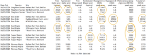 MU Metabolomics Center data on Toxins in Maple Species & Staghorn Sumac