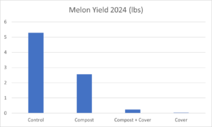 Melon Yield 2024