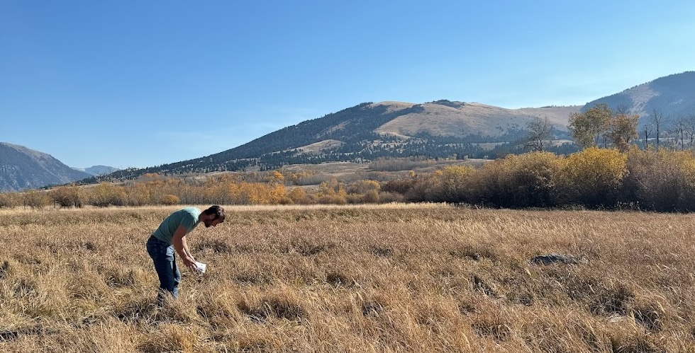 Field monitoring in action