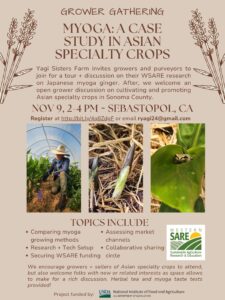 Flyer for Myoga Workshop 11-9-25