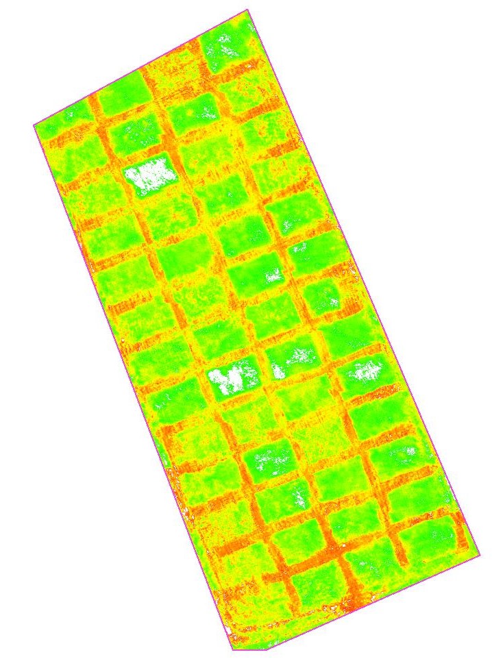 Evaluation of canopy health