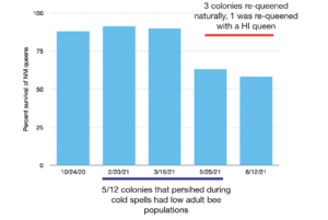 Graph shows the survival and associated causes of AHB colonies re-queened with NM queens