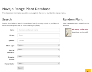Search page showing fields for selecting search terms