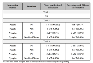 Table 3.3. Results of pathogenicity tests on zucchini (Cucurbita pepo ‘Costata Romanesca’) inoculated using either needle or squash bug nymphs during summer 2016. For each method, eight plants each were inoculated with S. marcescens strain P1 or phosphate buffered saline (PBS). The experiment was repeated three times. Inoculated plants were grown in the field under a floating row cover to exclude insects. The row cover was removed at six weeks and plants were assessed at eight weeks. Phloem browning was observed in cross sections of the lower stem. Bacterial colonies characteristic of S. marcescens were isolated and identity was confirmed using PCR and strain-specific primers. Plants from Trial 1 died due to excessive squash bug feeding and heat after removal of row covers.