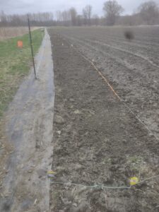 Image 3. North Field Bank.