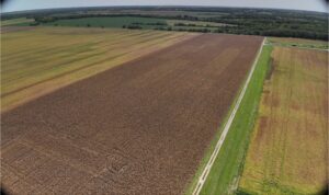 Drone Image of Corn Field