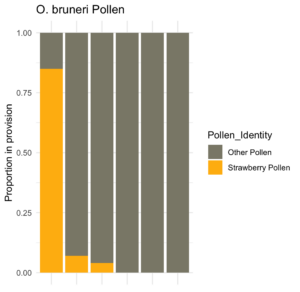Stacked bar plot showing proportion of pollen collected by Osmia bruneri in strawberry fields.