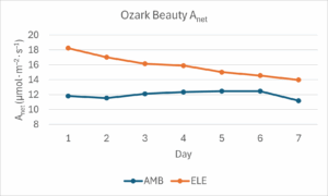 Figure showing Anet for ambient and enriched Ozark Beauty